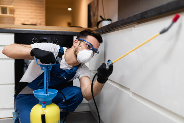 Best Wasp Removal Services  in Saluda, SC