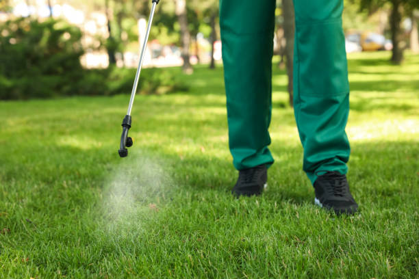 Best Residential Pest Control  in Saluda, SC