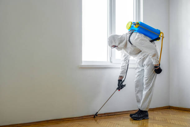 Best Wildlife Control Services  in Saluda, SC