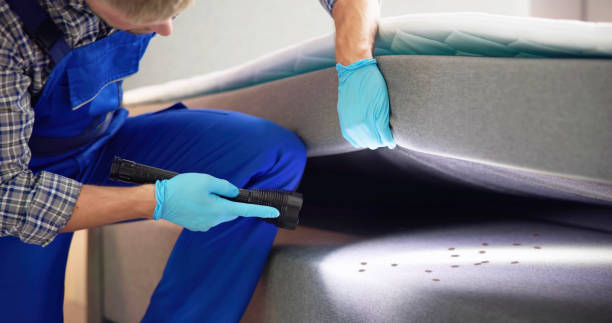 Best Pest Control Near Me  in Saluda, SC