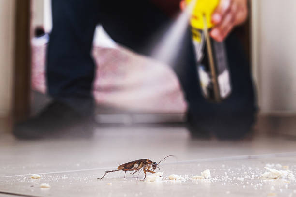 Pest Control for Restaurants in Saluda, SC
