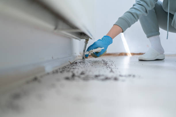 Trusted Saluda, SC Pest Control Experts